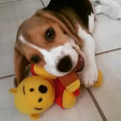 P00h_61's profile picture. 🍄
