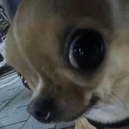 》♡《