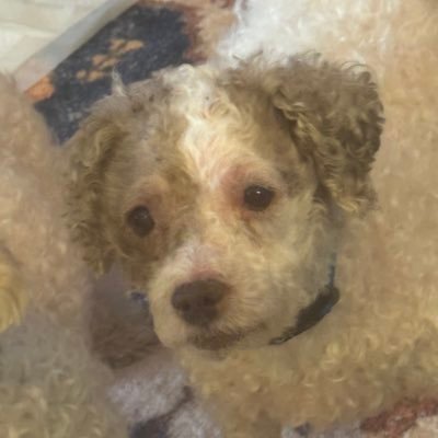 cawebster25's profile picture. 