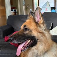 Franjo Sabljic (@sabljic_franjo) 's Twitter Profile