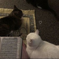 marah⁴ (@marahdbo) Twitter profile photo