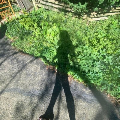 znncvrr2sk11's profile picture. Teehee