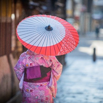 _meilia's profile picture. sky gazer