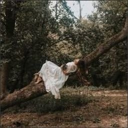 DireanhRHuS7's profile picture. 