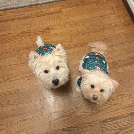 jacquel1357's profile picture. This Nurse,Mother and Grandmother is a proud supporter of the MAGA revolution. No porn- pictures or DMs please.