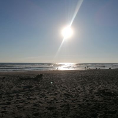 JC2022ES's profile picture. Ingeniero Industrial /
Diseñador Gráfico
Deportista 🇸🇻