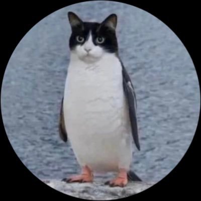 caracara88's profile picture. 