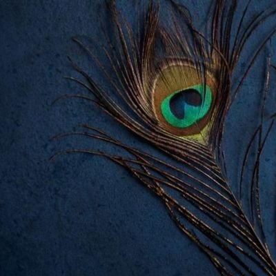 RegalVineet's profile picture. Graduate in Life Sciences.                                                 
Play Pokemon Go in free time.
( Ign : RegalVineet )