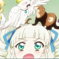 もみじ (@momiji_1107_) 's Twitter Profile Photo