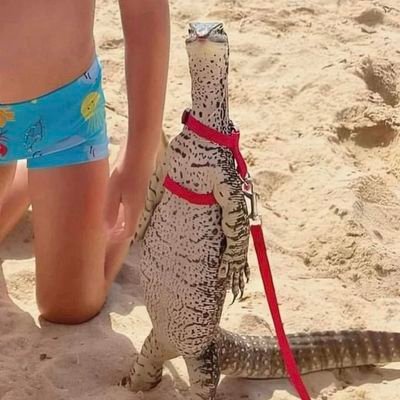 NngkhKhcr44741's profile picture. 