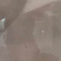 Radu Sa (@radu_sa1) 's Twitter Profile