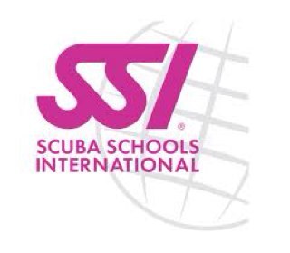 SSI_Egypt's profile picture. SSI Area Office Egypt