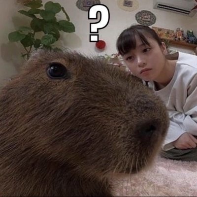 EssGeeOW's profile picture. Av 💖 VAL and VGC