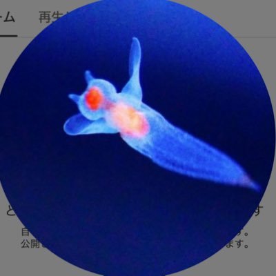 クリオネさんのプロフィール画像