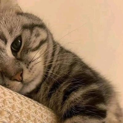 rkkarthur1's profile picture. .. my name is Richmond Arthur..