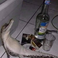 Sou ivan (@souivan0404) 's Twitter Profile