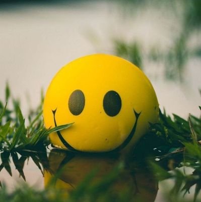 pisupport688's profile picture. $MYTH