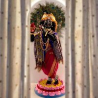S Priyankar (@swatipriyankar) 's Twitter Profile