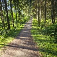 Joonas Taskinen (@joonastaskinen) 's Twitter Profile