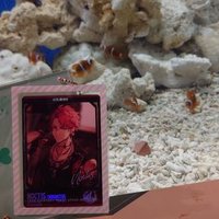 刹那❋お取引 (@i_msnc) 's Twitter Profile