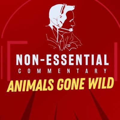 Non-essential Commentary Profile