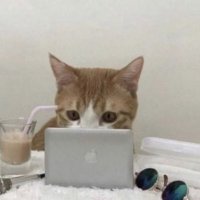 ⁷ (@isastfsm) 's Twitter Profile