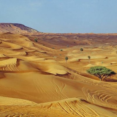 Rajeshdabur's profile picture. Professor Biochemistry