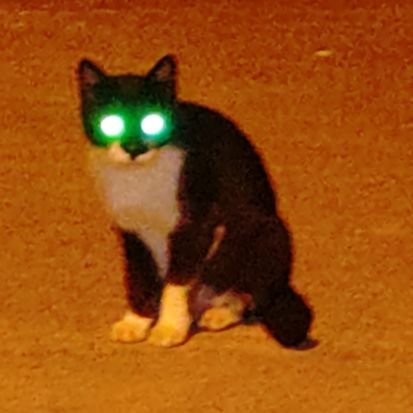 わわさんのプロフィール画像