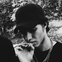 A.shams (@aradshvms) 's Twitter Profile