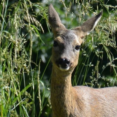 BertrandBoilea2's profile picture. Retraité, Photographe amateur, un vieux quoi ou boomer 😘#TAEM