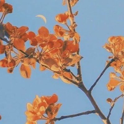 marfasalma's profile picture. this whole erosion has morphed in time