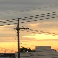 R (@r___________078) 's Twitter Profile