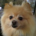 Judy Rough - @JudyRough - Twitter