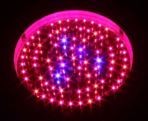 Prosource Worldwide is the leading developer of LED grow lights.  Used for all plants from basil, veggies, fruit, and cannabis.