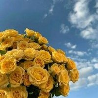 ميعاد✨ (@meeadsas) Twitter profile photo