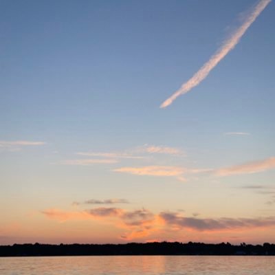 Arodsox's profile picture. Die hard Sox fan