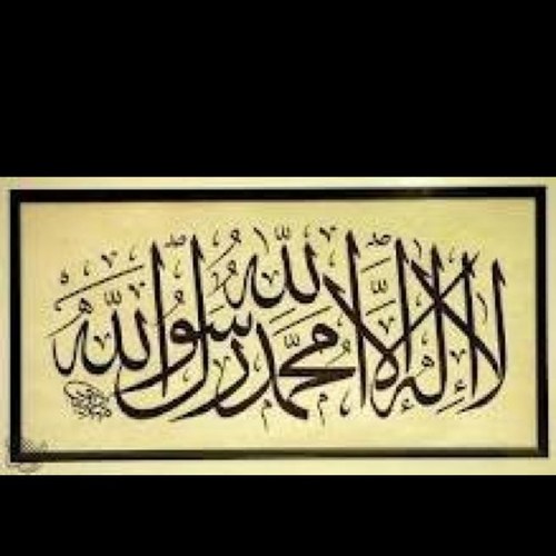 w7w8w9's profile picture. 