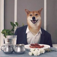 Rafael (@negapollo44) 's Twitter Profile Photo