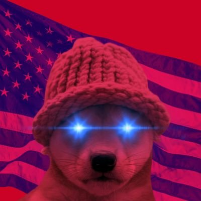 ふみよホースさんのプロフィール画像