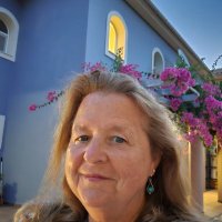 Ann SM (@annscottmanning) 's Twitter Profile