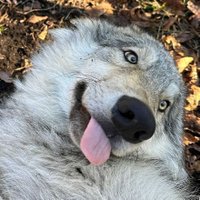 !! FONTAINE ☆ (@_wehappyfew_) 's Twitter Profile