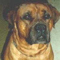 Reinhardt Rausch (@reinhardt030661) 's Twitter Profile