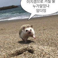 유목 (계이 중 단 사) (@flowing_green) 's Twitter Profile