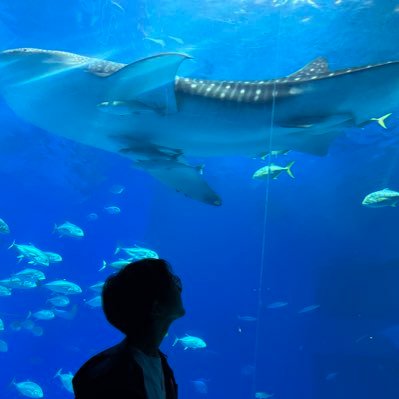 fujifuji040304's profile picture. 元さいえんす部 コンサドーレサポーター ディズニー大好き