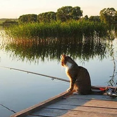 Vitalii56's profile picture. Люблю здоровый юмор, шахматы, бокс, музыку.