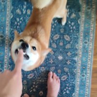 caleb (@calebw0w) 's Twitter Profile