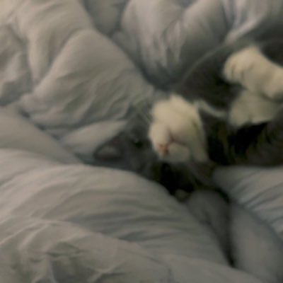 5ma_big's profile picture. 