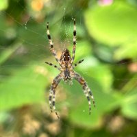 Craig ⚛︎ Marston - @CraigMarston@mastodon.social (@craigmarston) 's Twitter Profile