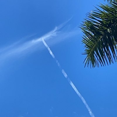 Jason7460864384's profile picture. 