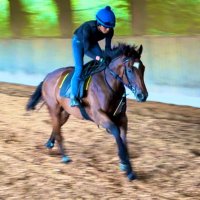 上手健太郎(Kentaro Kamide) 𝗗.𝗩.𝗠 🐎 (@kamidedvm) 's Twitter Profile